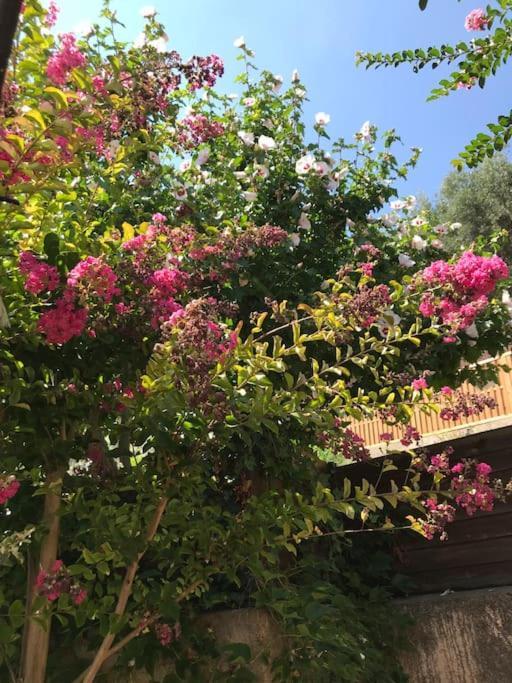 Appartement Sur La Colline Avec Acces Piscine Volx Bagian luar foto