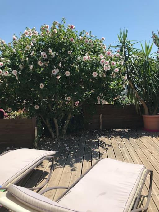 Appartement Sur La Colline Avec Acces Piscine Volx Bagian luar foto